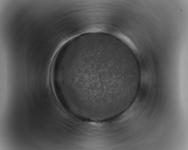 X0000092231226200709141059
