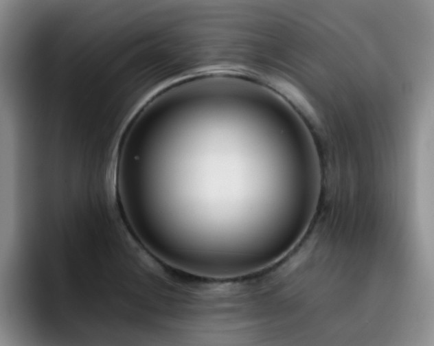 X0000092231228200709141059