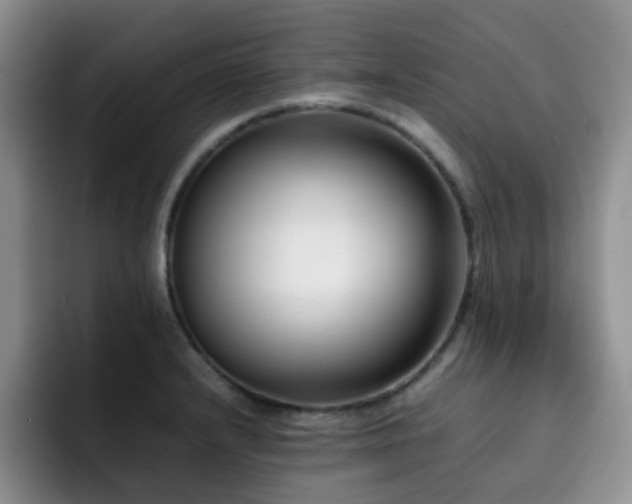 X0000092231232200709141100
