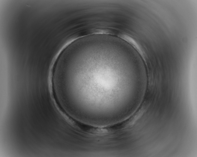 X0000092231235200709141100