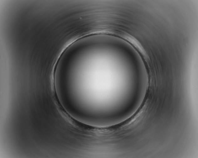 X0000092231242200709141100