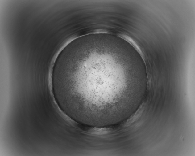 X0000092231243200709141100