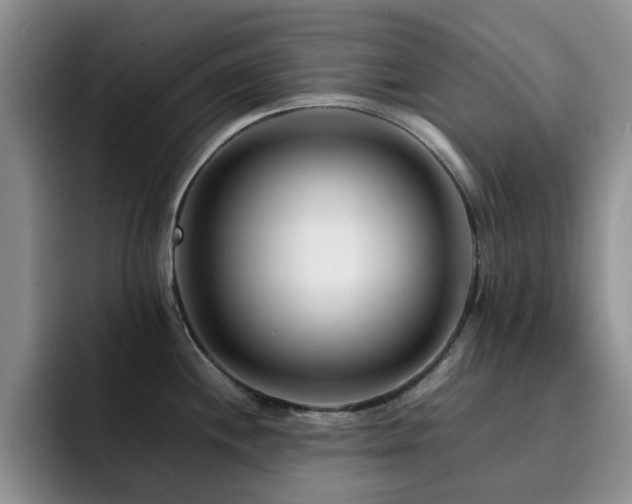 X0000092231244200709141100