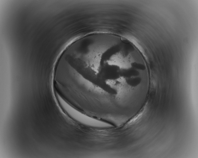 X0000092231245200709141100
