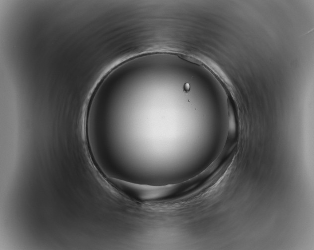 X0000092231246200709141100