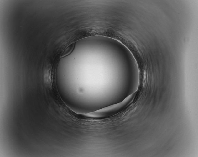X0000092231250200709141059