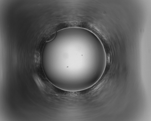 X0000092231251200709141059