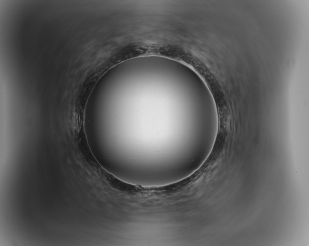 X0000092231253200709141059
