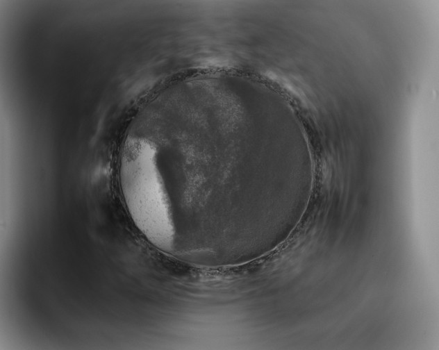 X0000092231254200709141059