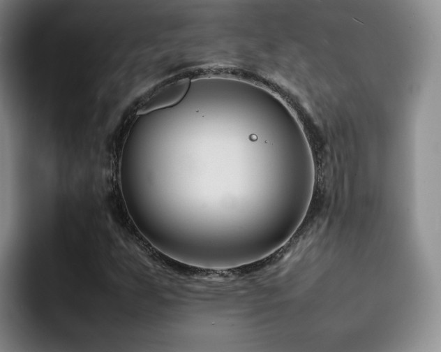 X0000092231255200709141059