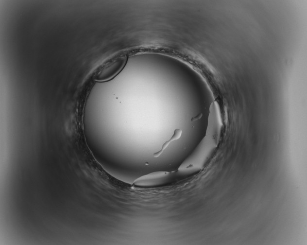 X0000092231256200709141059
