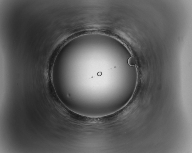 X0000092231259200709141059