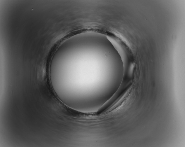 X0000092231261200709141059