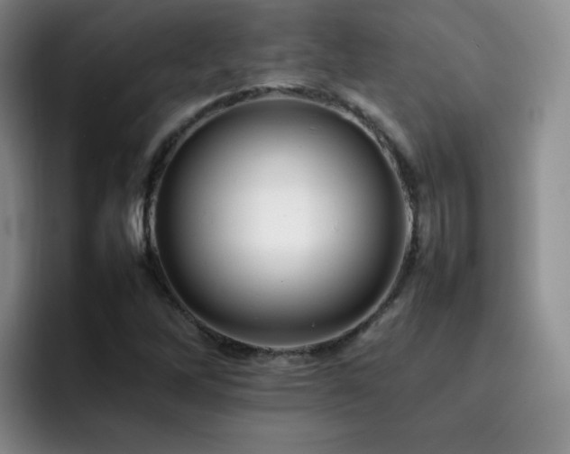 X0000092231262200709141059