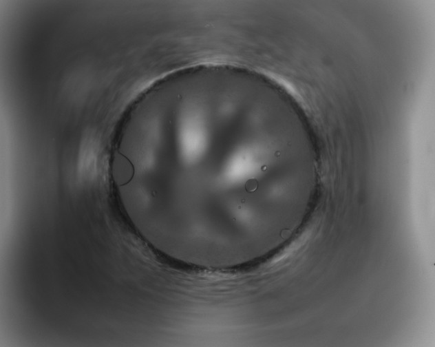 X0000092231263200709141059