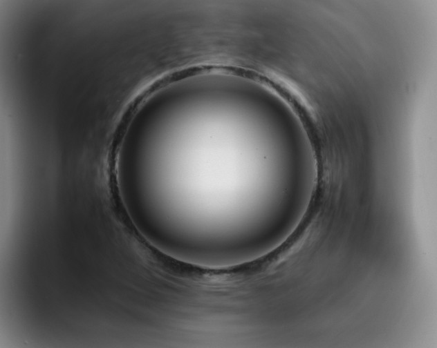 X0000092231264200709141059