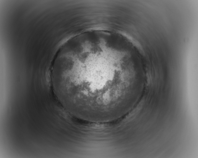 X0000092231266200709141059