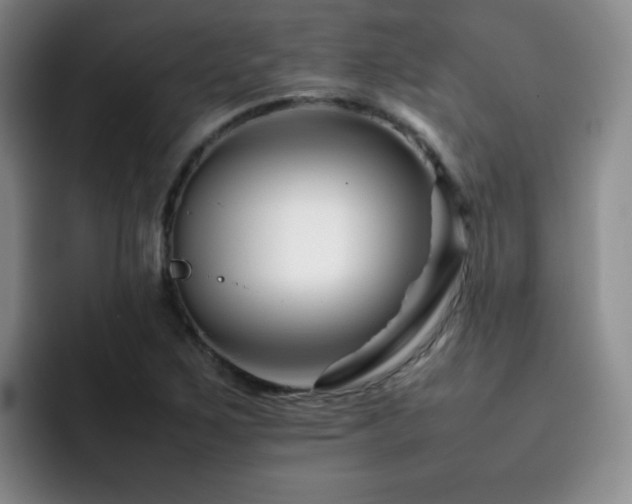 X0000092231267200709141059