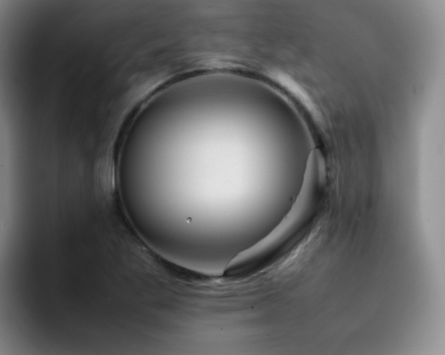 X0000092231269200709141059
