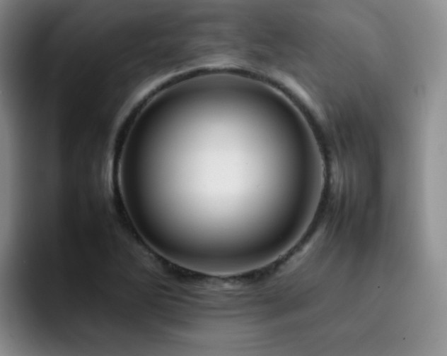 X0000092231270200709141059