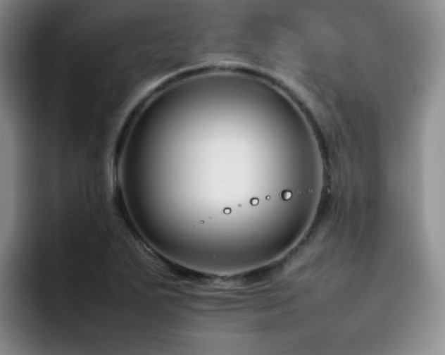 X0000092231271200709141059
