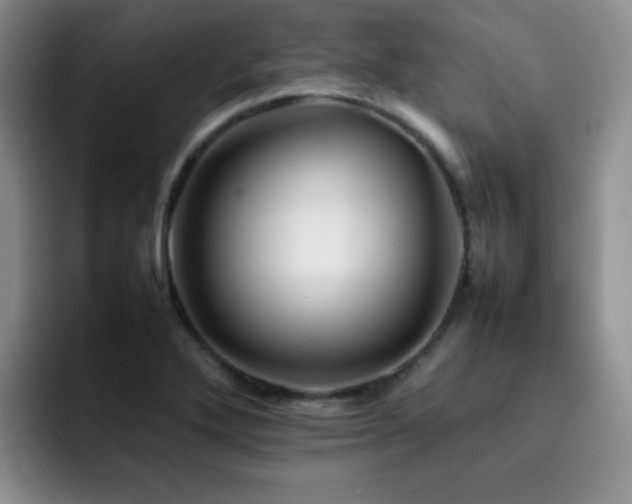 X0000092231272200709141059