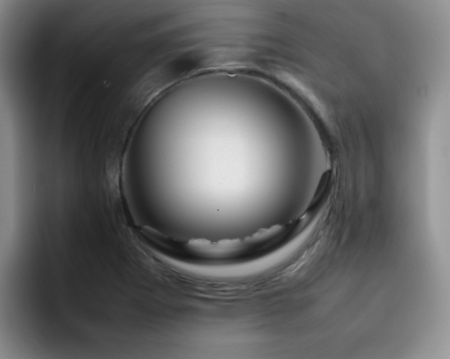 X0000092231273200709141059