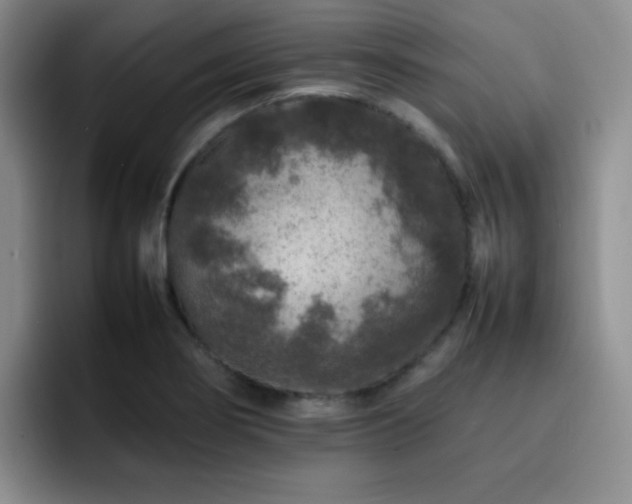 X0000092231274200709141059