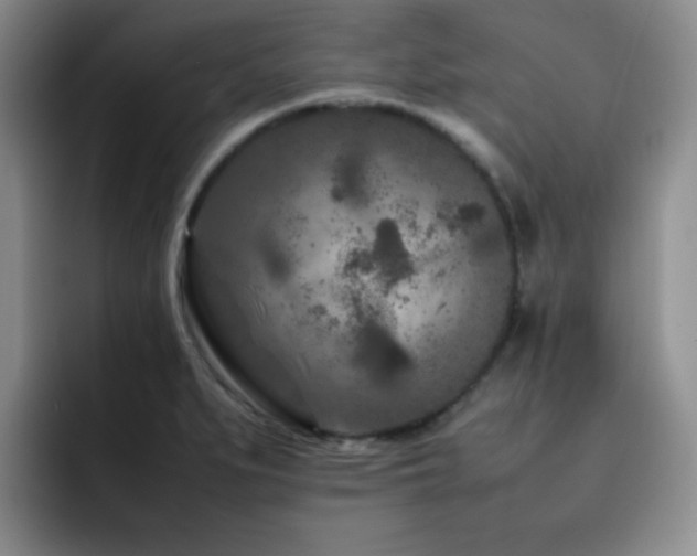 X0000092231279200709141059