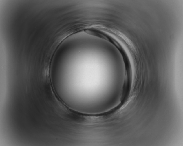 X0000092231281200709141059