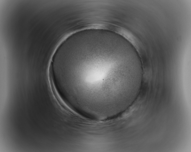 X0000092231283200709141059