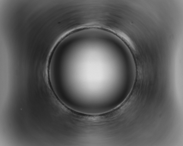 X0000092231288200709141059