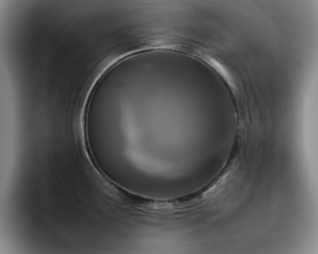 X0000092231291200709141059