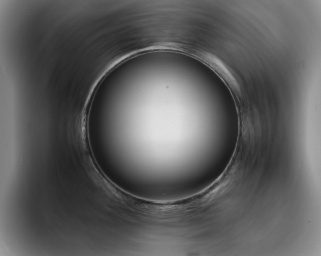 X0000092231292200709141059