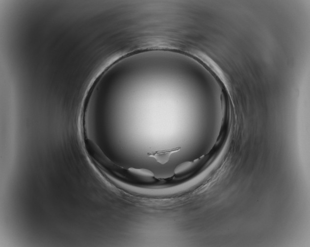 X0000092231293200709141059