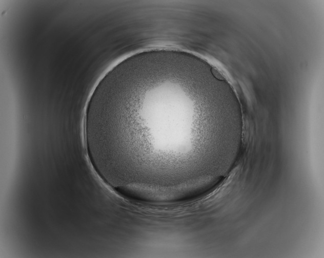 X0000092231295200709141059