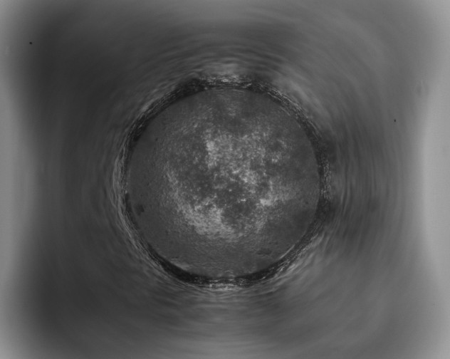 X0000092231297200709141058