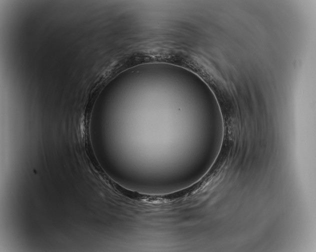 X0000092231298200709141058