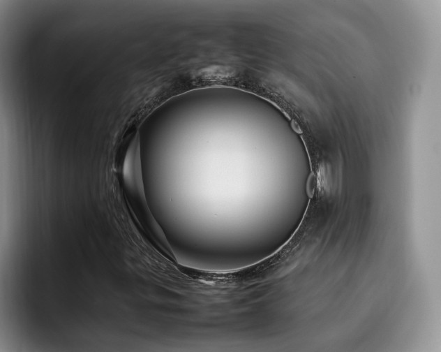 X0000092231299200709141058