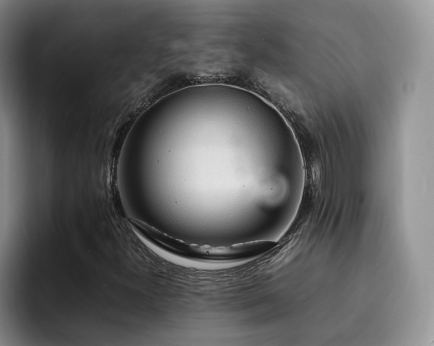 X0000092231300200709141058