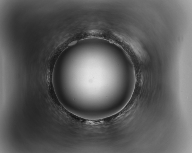 X0000092231301200709141058