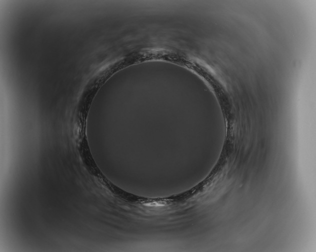 X0000092231303200709141058