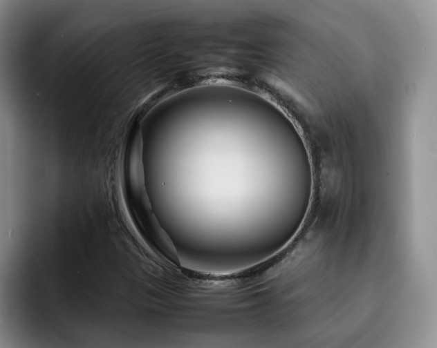 X0000092231305200709141058