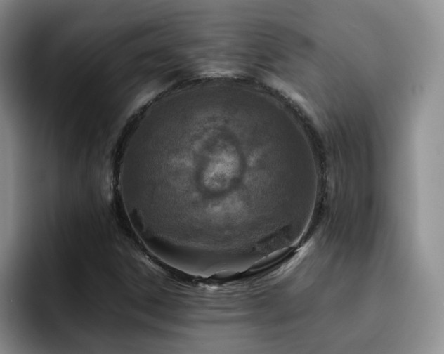 X0000092231306200709141058