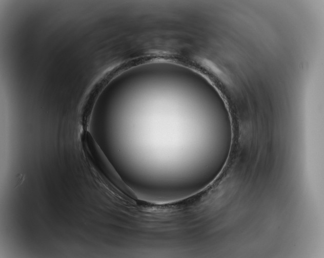 X0000092231307200709141058