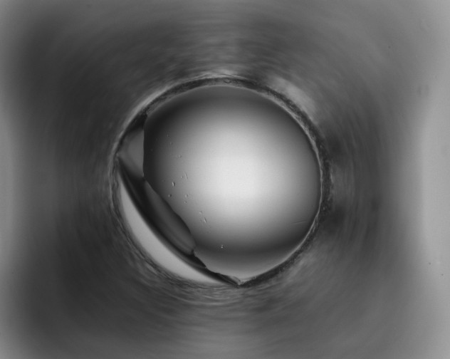 X0000092231308200709141058