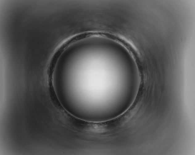 X0000092231311200709141058