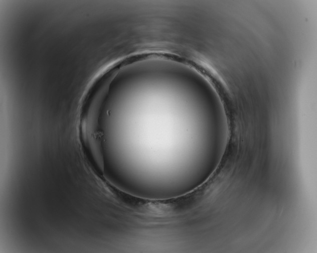 X0000092231312200709141058