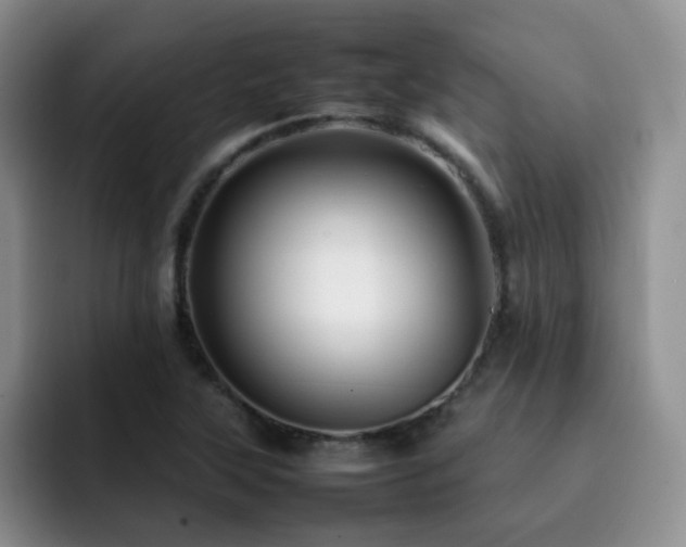 X0000092231315200709141058