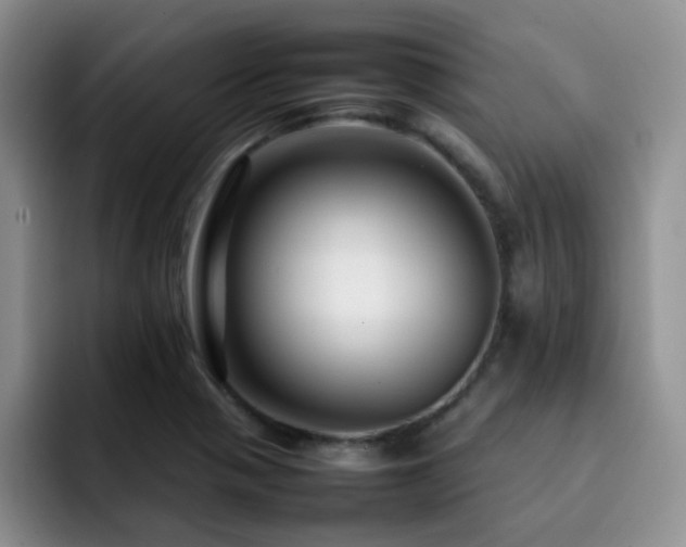 X0000092231321200709141058